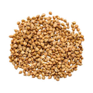 Buckwheat