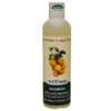 Earthsap Grapefruit & Sugar Beet Shampoo - 250ml x3