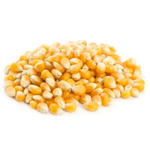 Popcorn