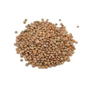 Brown Lentils 1kg