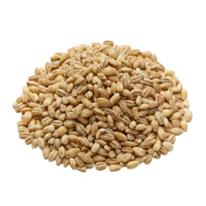 Pearled Barley