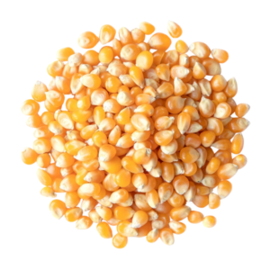 Popcorn - Mushroom 1kg