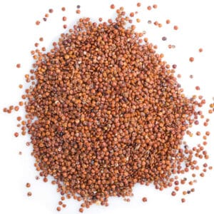 Quinoa