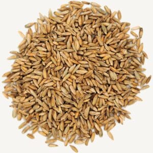 Rye Kernels