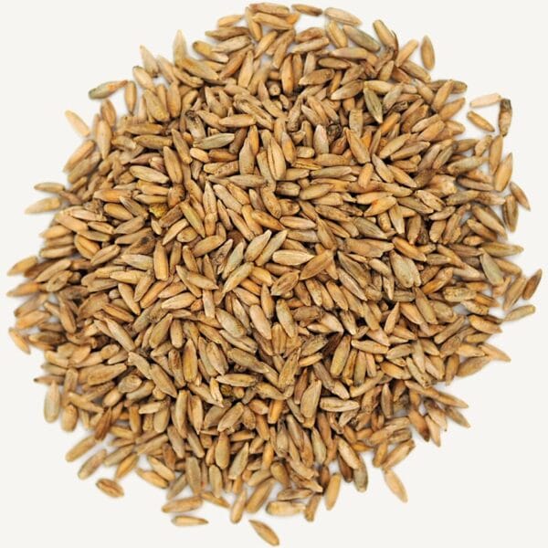 Rye Kernels