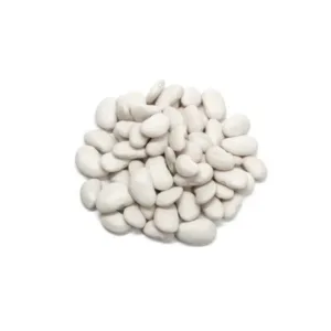 Kidney Beans - White 1kg