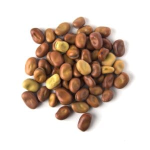 Faba Beans