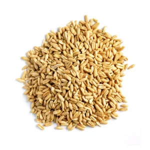 Oat Kernels 1kg