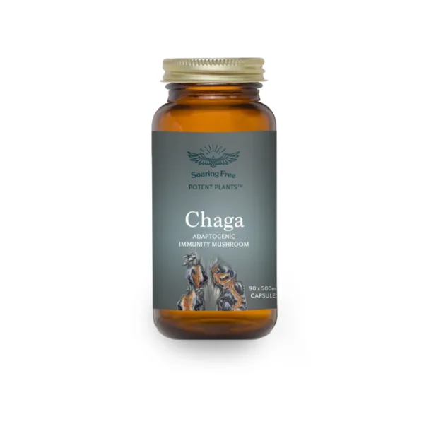 Soaring Free Organic Chaga - Image 2