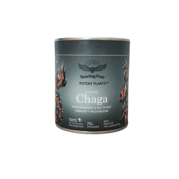 Soaring Free Organic Chaga