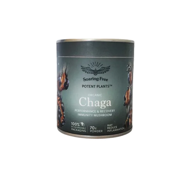 Soaring Free Organic Chaga